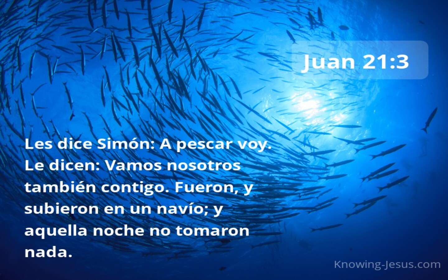 Juan 21:3 La pesca (Armada)